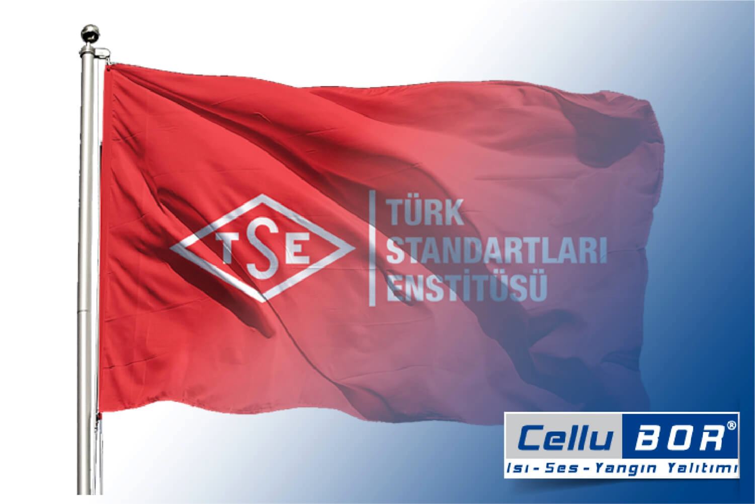 TSE Belgesi Nedir? Neleri Kapsar?