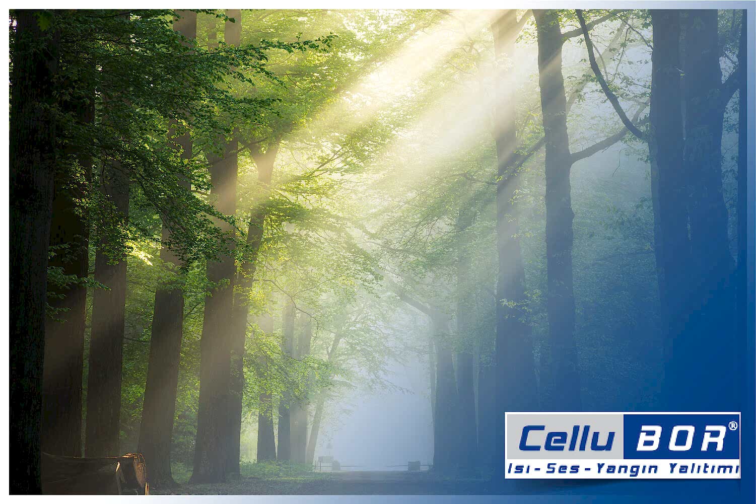 Yalıtımda Doğal Çözümler Nelerdir?