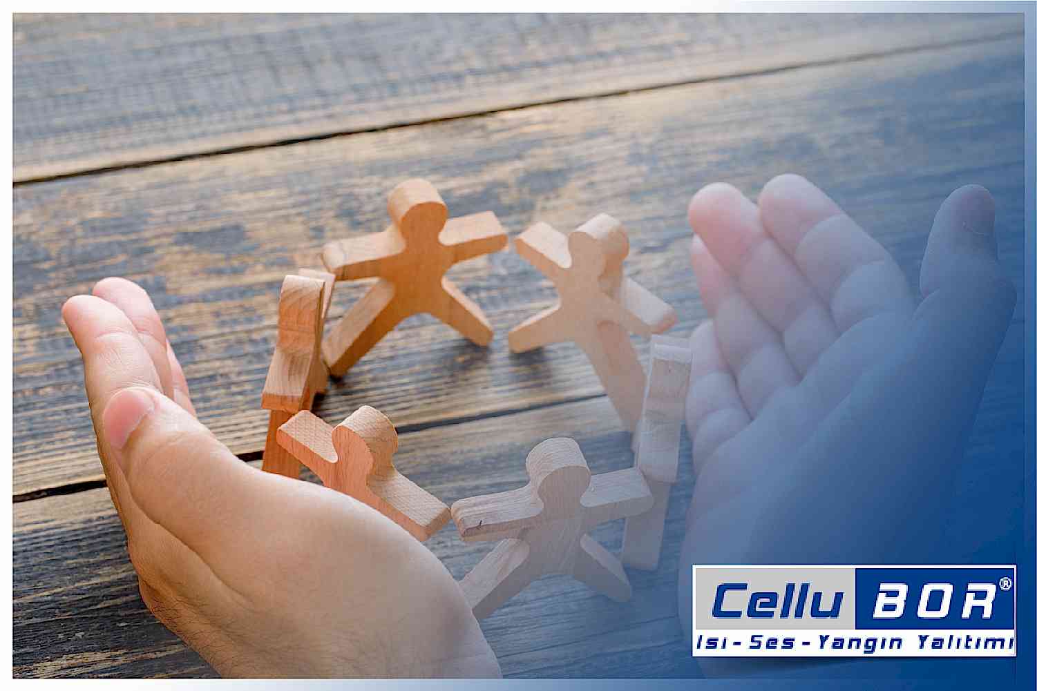 Isının ve Sesin Anatomik Yolculuğu